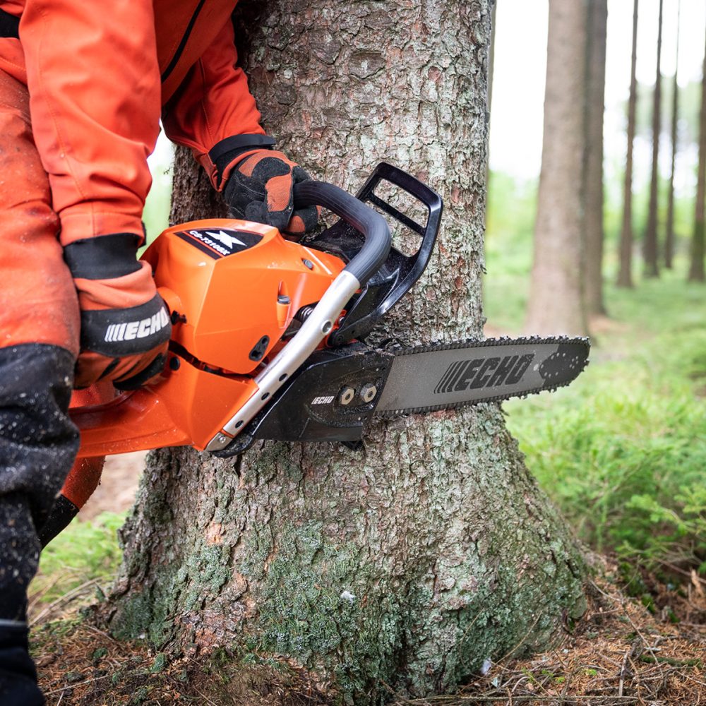 ECHO 1200x1200 - SITE-4